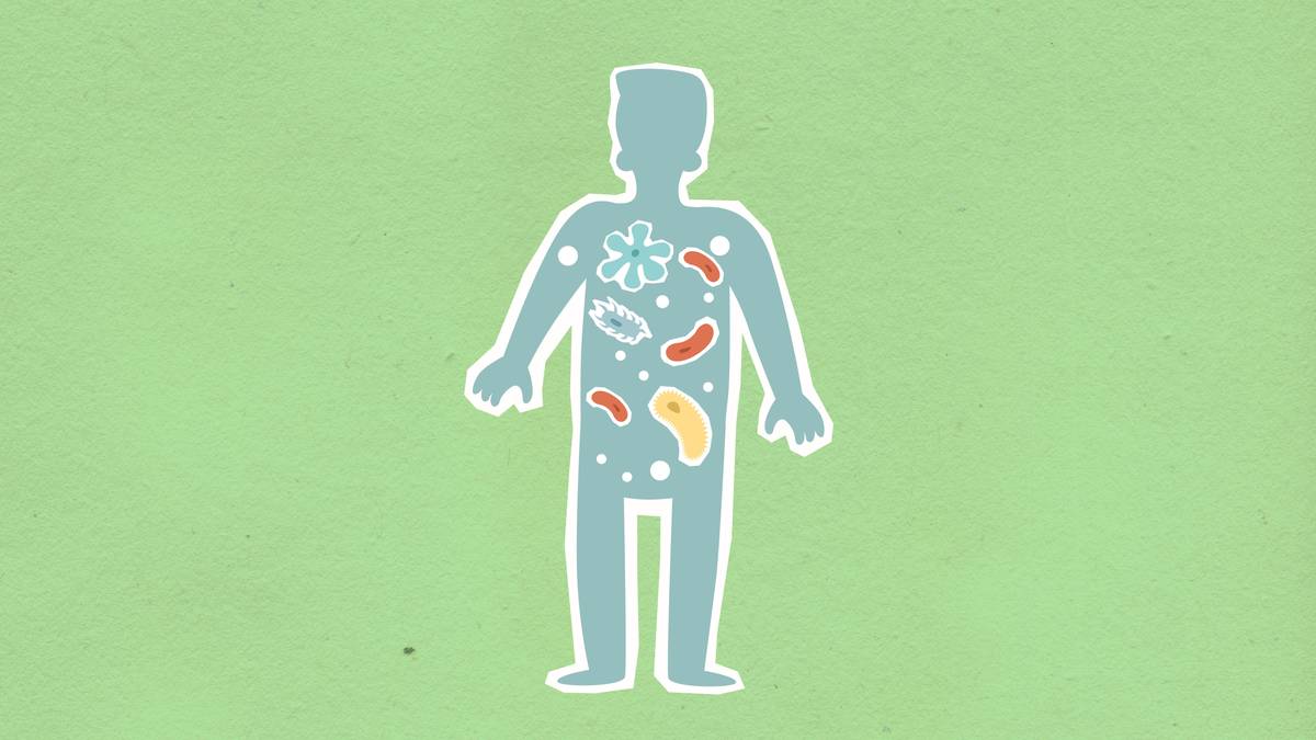 Infographic showing how Lactobacillus probiotics can temporarily cause diarrhea through osmotic effects, microbial die-off, and rapid fermentation