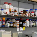Probiotic Lactobacillus Bifidobacterium Strains: Your Science-Backed Guide to Gut Harmony